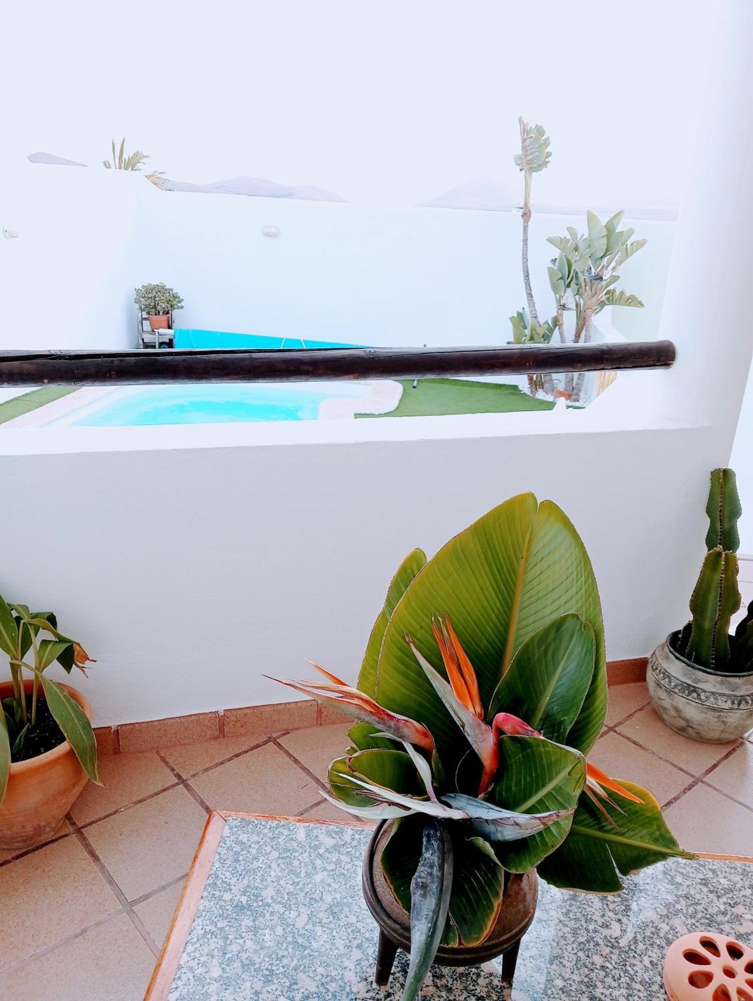 Casa Strelitzia Villa Nazaret Eksteriør billede
