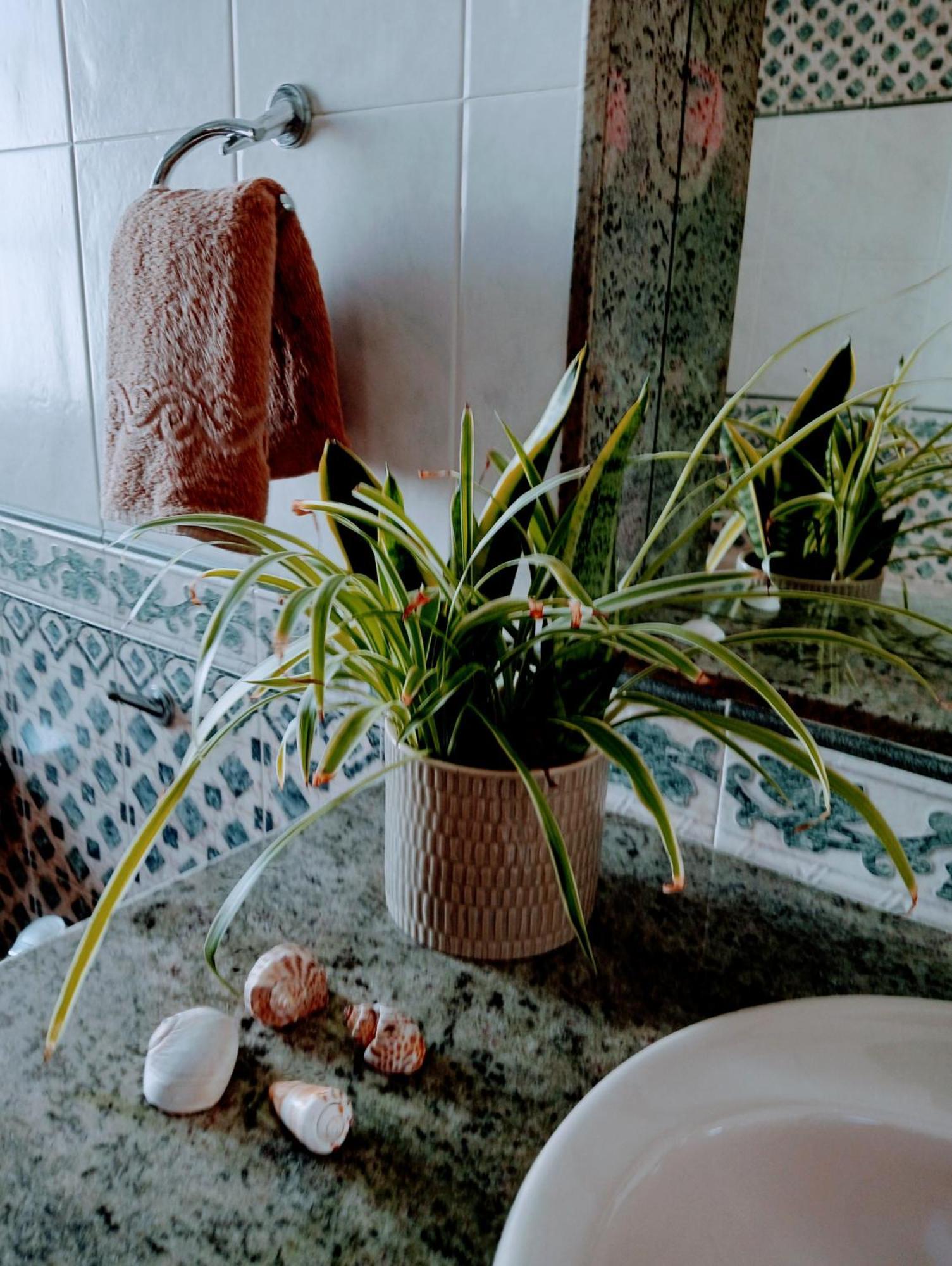 Casa Strelitzia Villa Nazaret Eksteriør billede