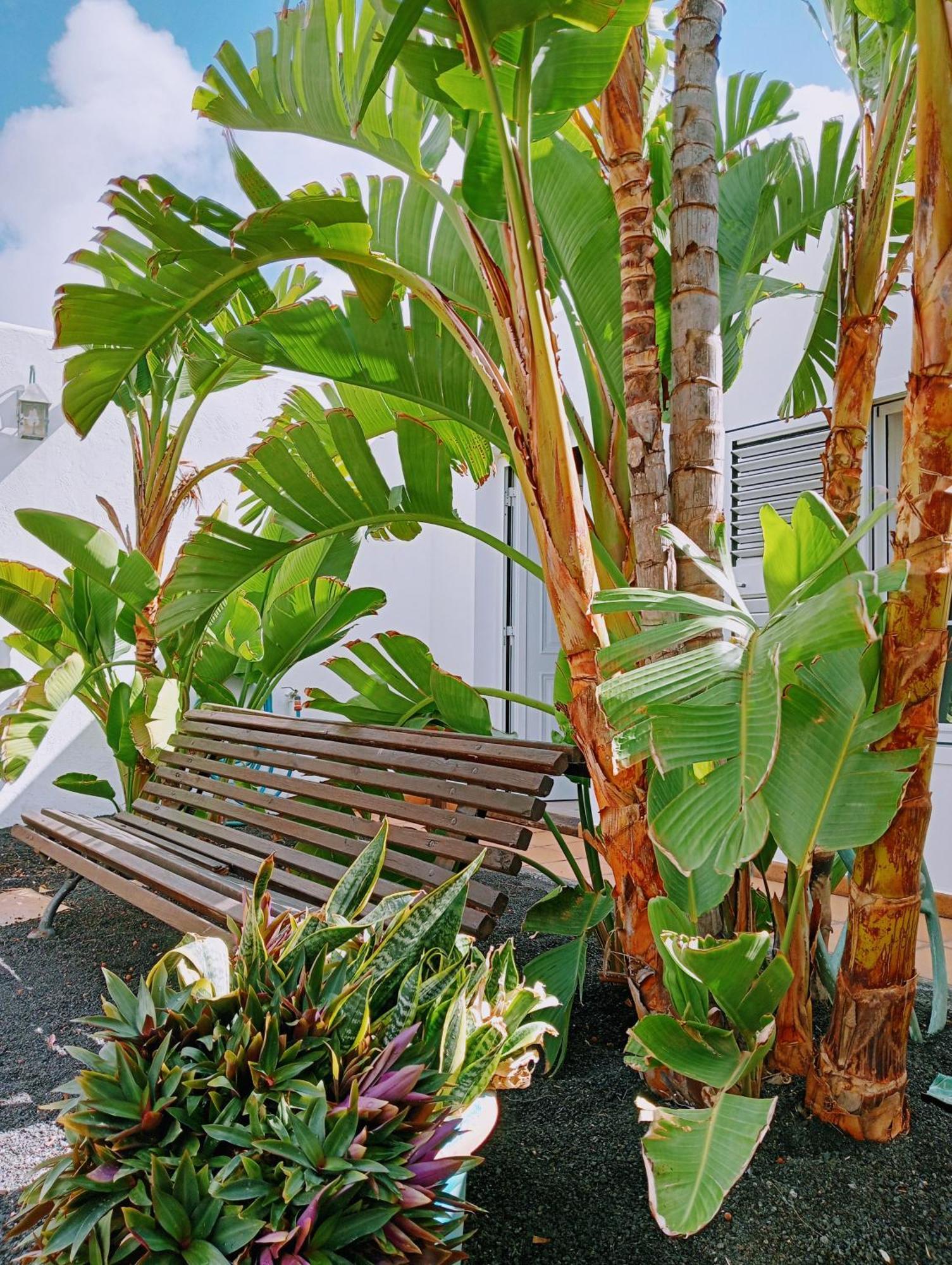 Casa Strelitzia Villa Nazaret Eksteriør billede